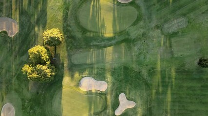 Aerial descending on a green golf playground with trees and sand bunkers at golden hour. Top down.