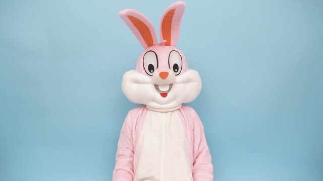 Positive funny musician guitarist plays music by ukulele or Hawaiian guitar isolated on blue. Easter bunny or rabbit or hare celebrates Happy easter