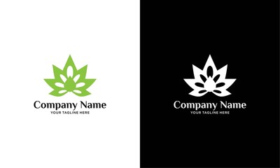cannabis extract logo designs, or cannabis leaves with water droplets