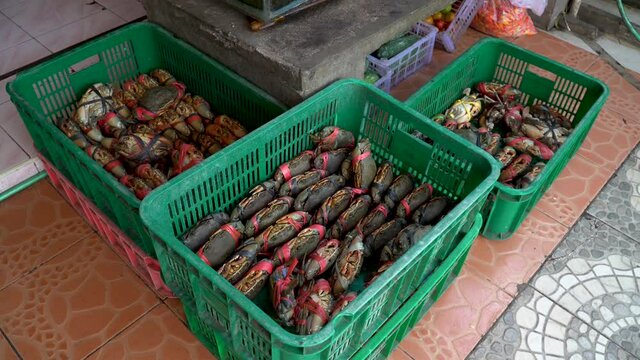 Plastic baskets full of fresh caught crabs at seafood restaurant