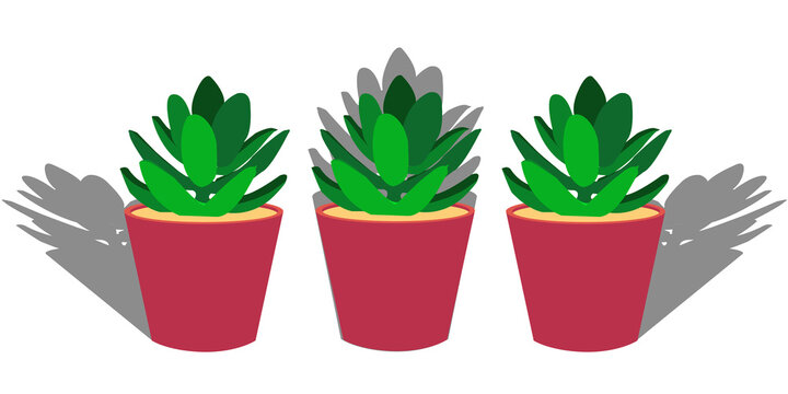 green decorative plant various shadow set