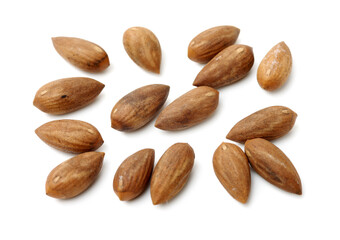 Torreya grandis seeds nut on white background