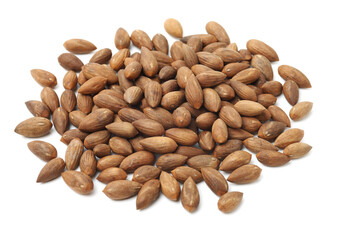 Torreya grandis seeds nut on white background