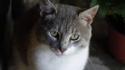 Photos from a trip in 2019, airport, flowers, food and nature