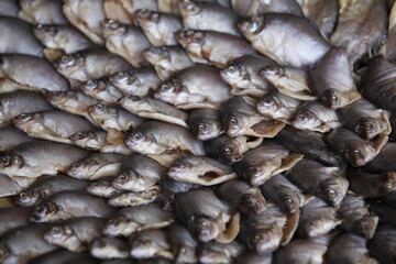 fish in the fish market 