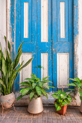 blue door with flowers