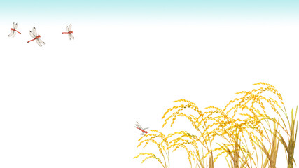 稲と赤トンボ　背景 フレーム　水彩 イラスト 横長 © tada
