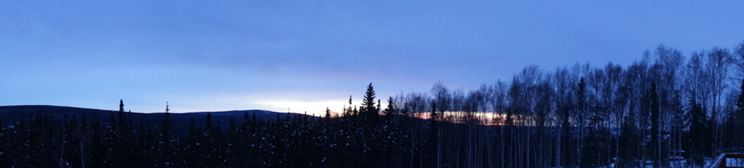 Winter forest with snow at sunrise in Fairbanks, Alaska. Panoramic view - 冬の森 雪景色 フェアバンクス アラスカ