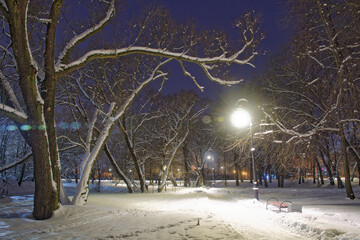 The city park is illuminated with electricity at night.