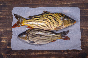 Two carp fish on wooden background, closeup