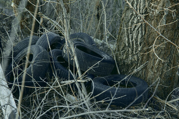 pile of old tires near a tree