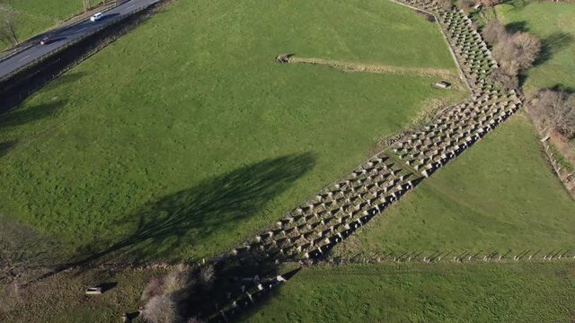 Aerial View, following the Siegfried Line, also known as Dragon Teeth. German defensive lines during the Second World War, near the city of Aachen.