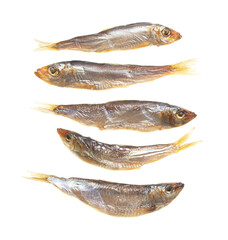 Smoked sprat isolated on white