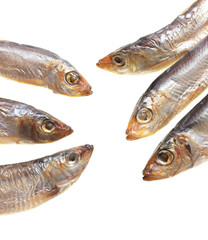 Smoked sprat isolated on white