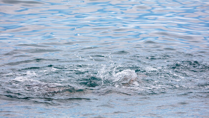 Obraz premium Splashes the surface of the sea over the water.