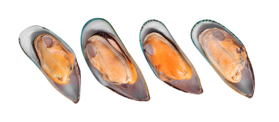 Boiled mussels on white background