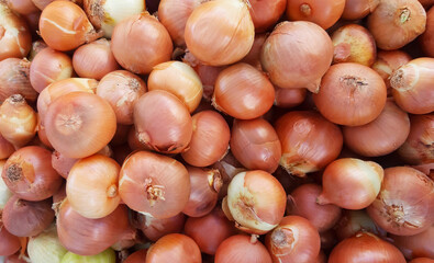 Yellow gold onions crop. Close up background