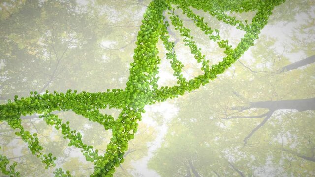 Animation of 3d green dna strand spinning over trees