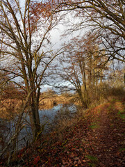 Naturschutzgebiet Altmain bei Grafenrheinfeld, Landkreis Schweinfurt, Unterfranken, Franken, Bayern, Deutschland