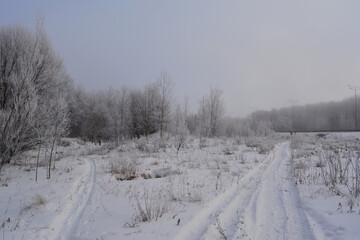 Fototapeta na wymiar Winter landscape with snowy roads in overcast day.