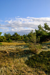 Landschaft mit Dünen und Strandseen am Darßer Ort, Nationalpark Vorpommersche Boddenlandschaft, Mecklenburg Vorpommern, Deutschland