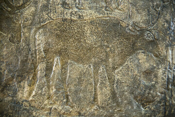 Ancient image of a bull on a stone.