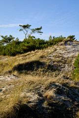 Landschaft mit Dünen und Strandseen am Darßer Ort, Nationalpark Vorpommersche Boddenlandschaft, Mecklenburg Vorpommern, Deutschland