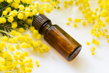 Mimosa essential oil in a glass bottle for hair and skin. Natural cosmetics, aromatherapy and spa concept