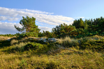 Landschaft mit Dünen und Strandseen am Darßer Ort, Nationalpark Vorpommersche Boddenlandschaft, Mecklenburg Vorpommern, Deutschland