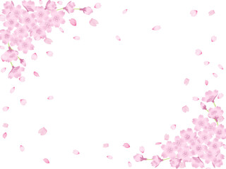 桜と花びらのフレーム
