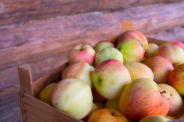 Apples lie in a wooden box against the background of a log wall.