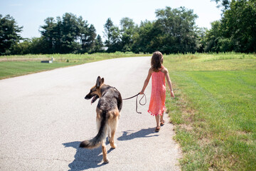 Rear view of girl walking with German Shepherd on road during sunny day amidst grassy field