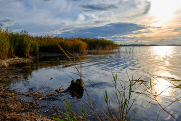 Lichtstimmung am Abend bei Zarrenzin mit Blick zur Insel Bock im Nationalpark Vorpommersche Boddenlandschaft, Mecklenburg Vorpommern, Deutschland