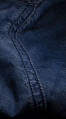 Fototapeta premium 청자켓 바탕 사진