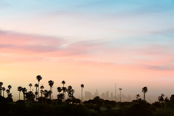 Low angle view of silhouette palm trees against sky in city during sunset