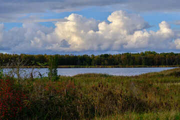 Lichtstimmung am Abend bei Zarrenzin mit Blick zur Insel Bock im Nationalpark Vorpommersche Boddenlandschaft, Mecklenburg Vorpommern, Deutschland