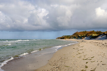 Lichtstimmung im Darßer Urwald und am Darßer Weststrand, Nationalpark Vorpommersche Boddenlandschaft, Mecklenburg Vorpommern, Deutschland