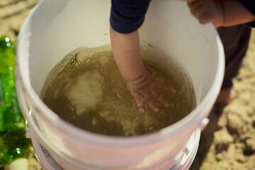 Small child playing in the water, baby's hands, bucket of sand and grass, summer games