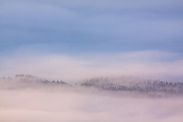 大雪山　銀泉台の雲海