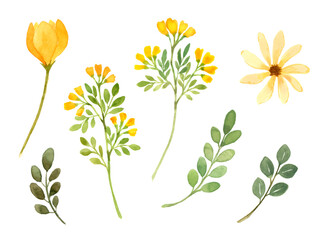 黄色い花と葉っぱの水彩イラスト