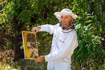 Portrait of male beekeeper in protective clothing holding honeycomb frame at apiary