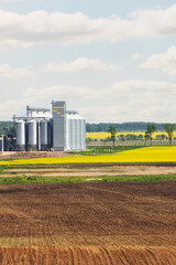 Fototapeta na wymiar Field of rapeseed flowers, plant for cleaning and storage of agricultural products, flour, cereals and grains.