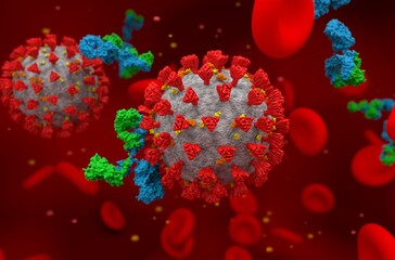 Activated antibody fight Covid-19 coronavirus around red blood cells 3d illustration isometric view