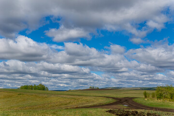 Fototapeta na wymiar Spring fields on a sunny cloudy day
