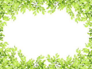 Fototapeta premium 新緑のフレーム・背景素材（横長）