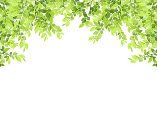 新緑のフレーム・背景素材（横長）