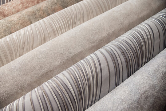 Banner samples of different colorful rolls of wallpaper in shop, choice in row market