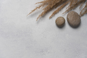 Gray concrete background with dry flowers and pebbles. Natural colors. Copy space, top view. Mockup for natural body and face care products 