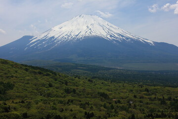 山中湖の東にあるみゅお陣山から見た、雪を被った冨士山