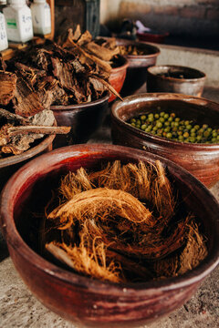 Close-up of coconut shells in containers